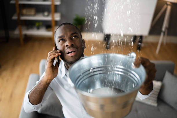 Best Fire Damage Restoration  in Kenilworth, PA