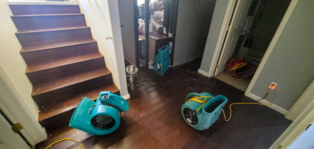 Best Flood restoration services  in Kenilworth, PA