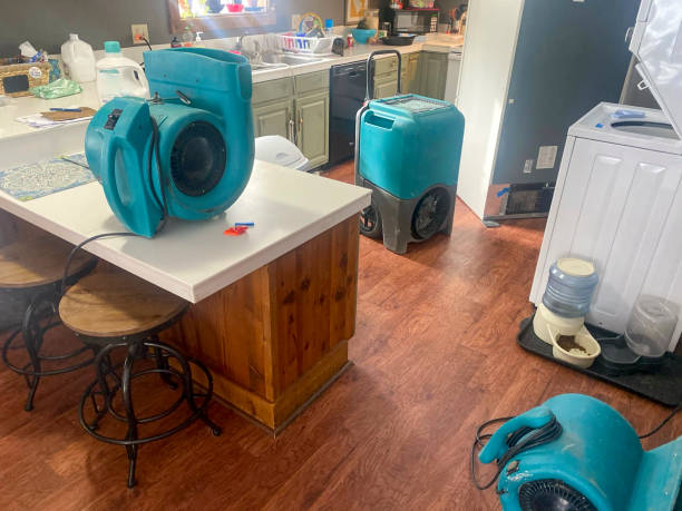 Professional Water damage restoration in Kenilworth, PA