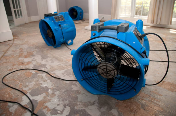 Best Mold removal after water damage  in Kenilworth, PA