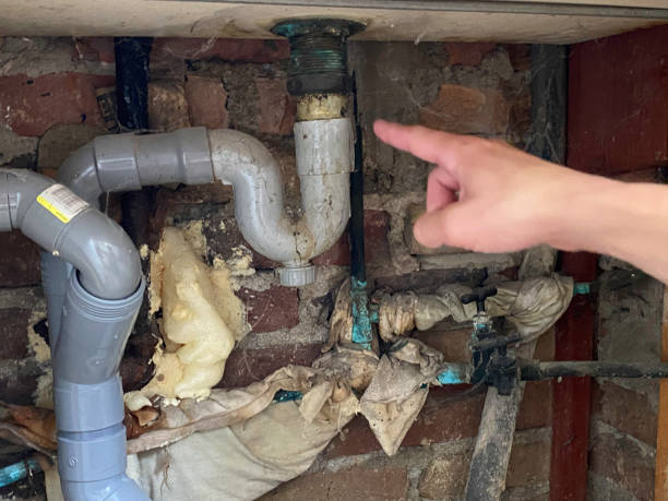 Best Ceiling water damage repair  in Kenilworth, PA