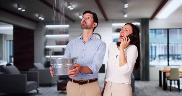 Best Local water damage restoration  in Kenilworth, PA