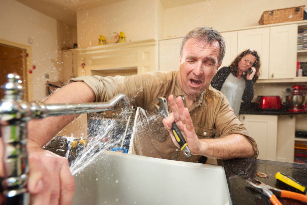 Best Flooded house restoration  in Kenilworth, PA